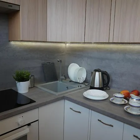 Centrum Dunikowskiego Z Garazem * Gliwice