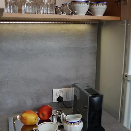 Centrum Dunikowskiego Z Garazem Gliwice