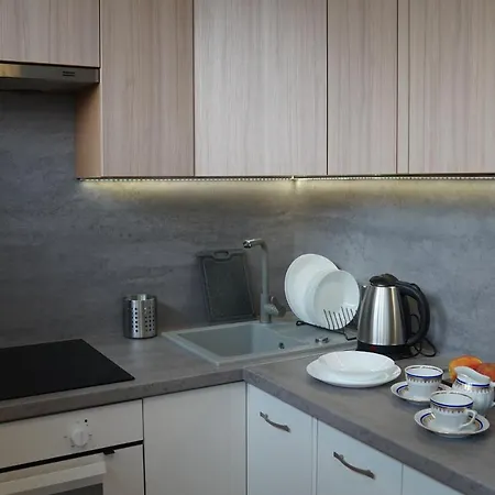 Centrum Dunikowskiego Z Garazem Apartment