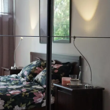 Centrum Dunikowskiego Z Garazem * Gliwice