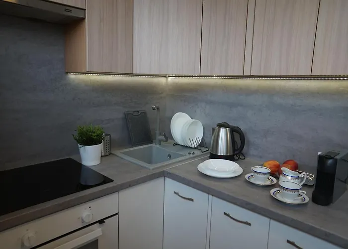 Centrum Dunikowskiego Z Garazem * Gliwice