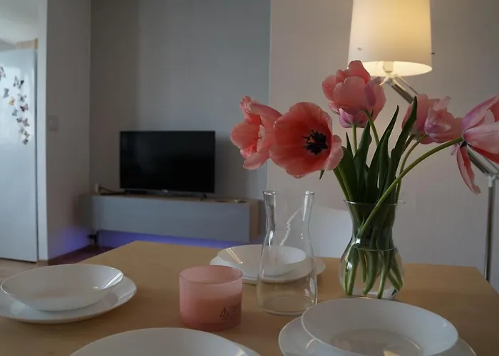 Centrum Dunikowskiego Z Garazem